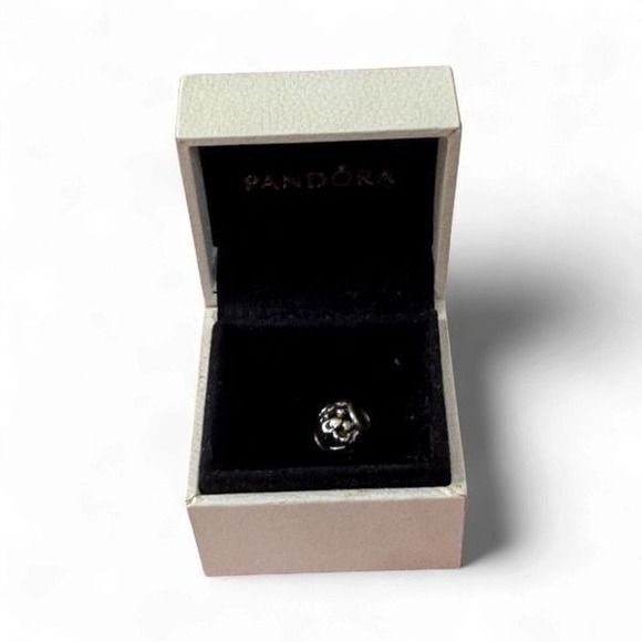 Pandora Sterling Silver 14K Family Forever Charm Bead - Picture 4 of 5